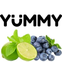 Тютюн Yummy Лайм Чорниця (Лайм Чорниця) 250гр купить