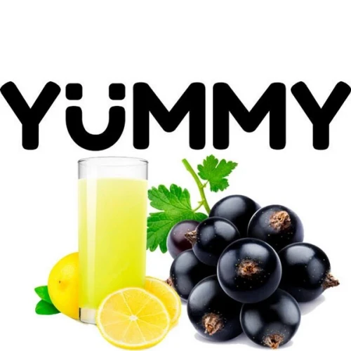 Табак Yummy Лимонад Зі Смородиною (Лимонад Со Смородиной) 250гр купить