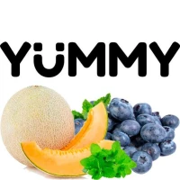 Табак Yummy Диня Чорниця М'ята (Дыня Черника Мята) 250гр купить